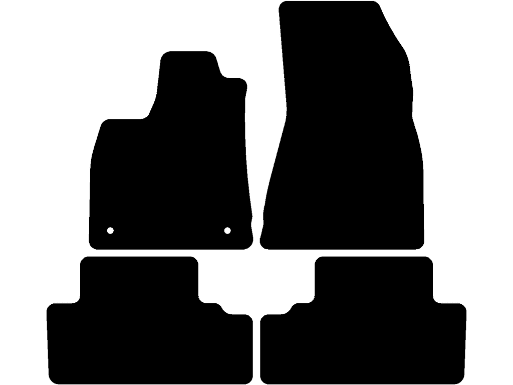 Tappetini per Renault 4 2025