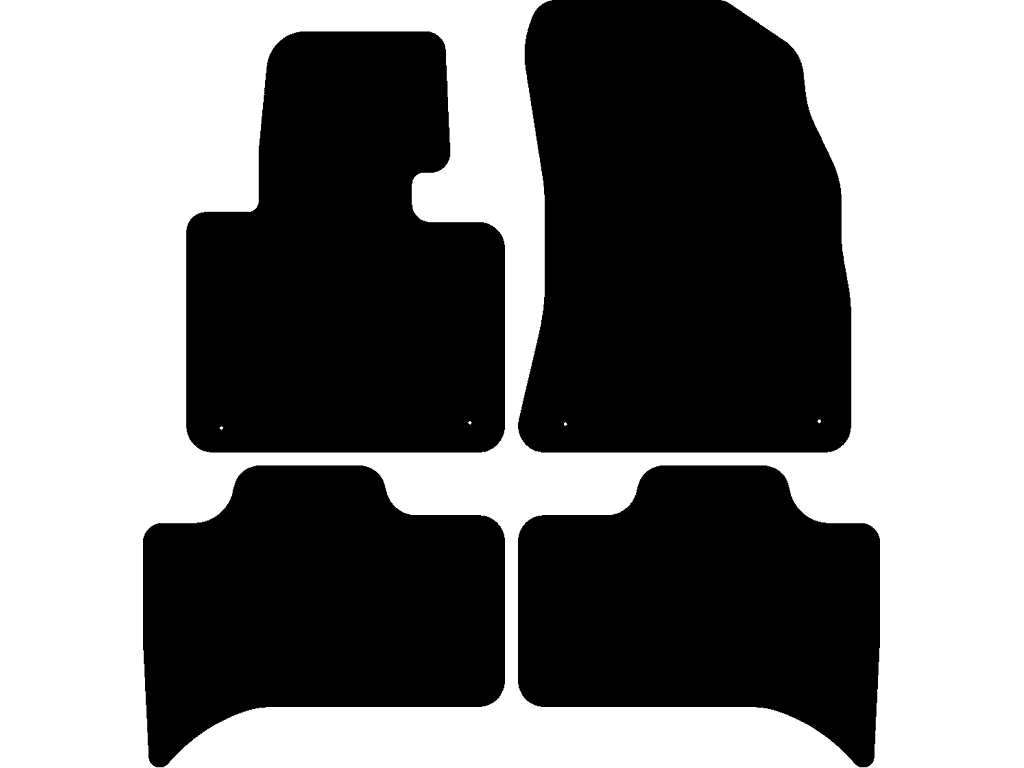 Tappetini per BMW X5 E53 1999 - 2007