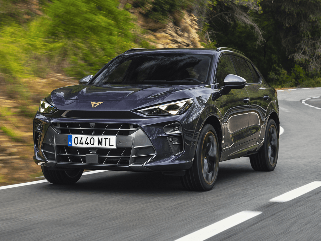 Tappetini per Cupra Terramar 2024 - 2025