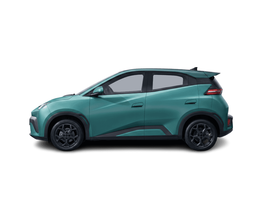 BYD Dolphin Surf